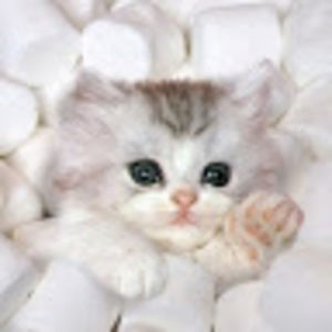 Meet your Posher, Aniella